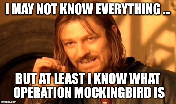 One Does Not Simply Meme | I MAY NOT KNOW EVERYTHING …; BUT AT LEAST I KNOW WHAT OPERATION MOCKINGBIRD IS | image tagged in memes,one does not simply | made w/ Imgflip meme maker