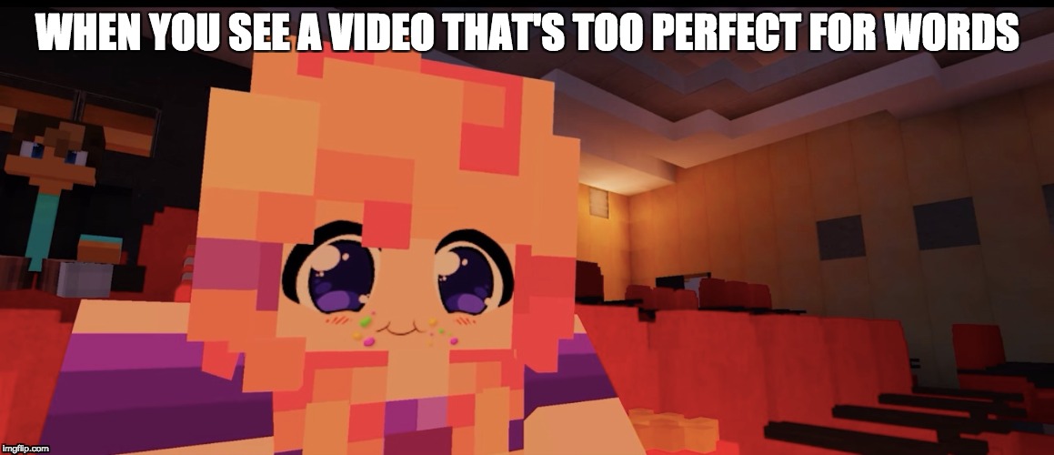 WHEN YOU SEE A VIDEO THAT'S TOO PERFECT FOR WORDS | image tagged in movies | made w/ Imgflip meme maker