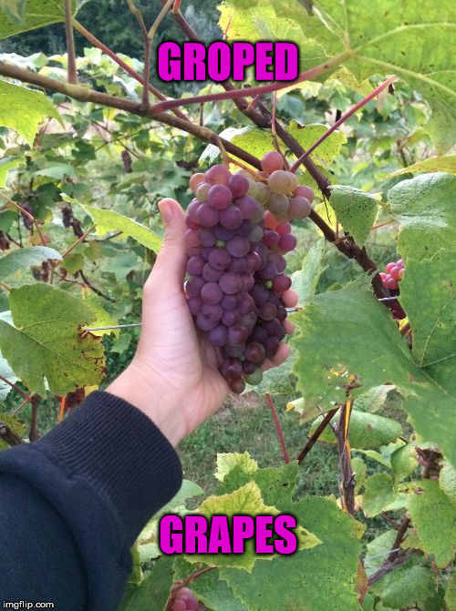 I Heard It Through The Grape Vine | GROPED; GRAPES | image tagged in grapes,memes | made w/ Imgflip meme maker