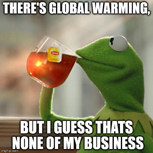 But That's None Of My Business | THERE'S GLOBAL WARMING, BUT I GUESS THATS NONE OF MY BUSINESS | image tagged in memes,but thats none of my business,kermit the frog | made w/ Imgflip meme maker