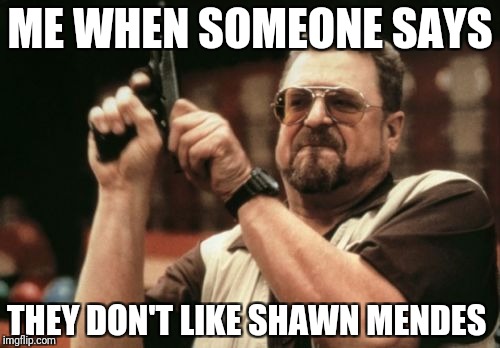 Am I The Only One Around Here | ME WHEN SOMEONE SAYS; THEY DON'T LIKE SHAWN MENDES | image tagged in memes,am i the only one around here | made w/ Imgflip meme maker