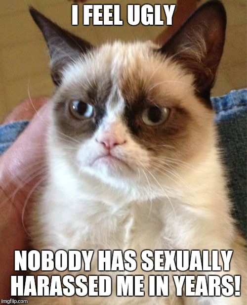 Grumpy Cat Meme | I FEEL UGLY; NOBODY HAS SEXUALLY HARASSED ME IN YEARS! | image tagged in memes,grumpy cat | made w/ Imgflip meme maker