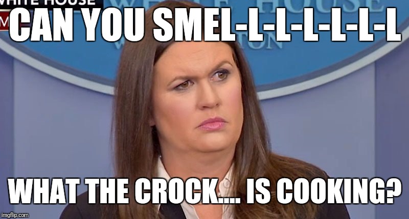 CAN YOU SMEL-L-L-L-L-L-L; WHAT THE CROCK.... IS COOKING? | image tagged in the peoples eyebrow | made w/ Imgflip meme maker