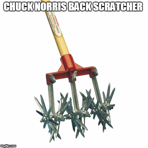 Chuck Norris Back Scratcher | CHUCK NORRIS BACK SCRATCHER | image tagged in memes,chuck norris | made w/ Imgflip meme maker