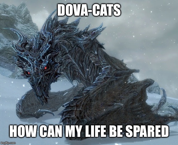DOVA-CATS HOW CAN MY LIFE BE SPARED | made w/ Imgflip meme maker