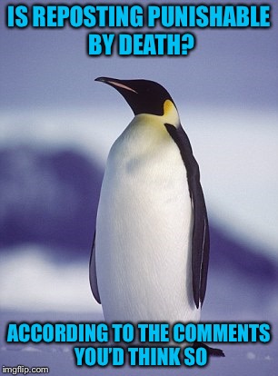 IS REPOSTING PUNISHABLE BY DEATH? ACCORDING TO THE COMMENTS YOU’D THINK SO | image tagged in proud penguin | made w/ Imgflip meme maker