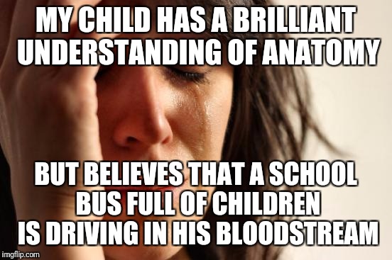 First World Problems Meme | MY CHILD HAS A BRILLIANT UNDERSTANDING OF ANATOMY BUT BELIEVES THAT A SCHOOL BUS FULL OF CHILDREN IS DRIVING IN HIS BLOODSTREAM | image tagged in memes,first world problems | made w/ Imgflip meme maker