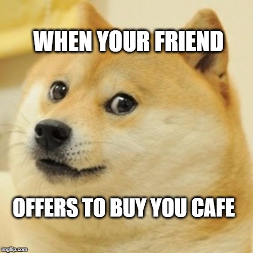 Doge Meme | WHEN YOUR FRIEND; OFFERS TO BUY YOU CAFE | image tagged in memes,doge | made w/ Imgflip meme maker