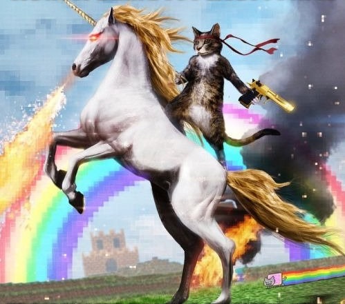 High Quality cat with gun riding unicorn Blank Meme Template
