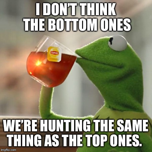 But That's None Of My Business Meme | I DON’T THINK THE BOTTOM ONES WE’RE HUNTING THE SAME THING AS THE TOP ONES. | image tagged in memes,but thats none of my business,kermit the frog | made w/ Imgflip meme maker