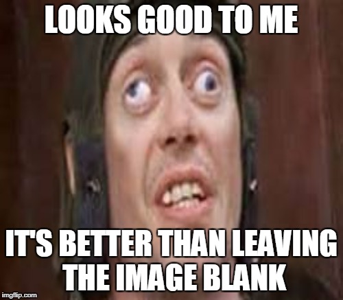 LOOKS GOOD TO ME IT'S BETTER THAN LEAVING THE IMAGE BLANK | made w/ Imgflip meme maker