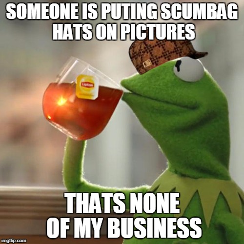 But That's None Of My Business Meme | SOMEONE IS PUTING SCUMBAG HATS ON PICTURES; THATS NONE OF MY BUSINESS | image tagged in memes,but thats none of my business,kermit the frog,scumbag | made w/ Imgflip meme maker