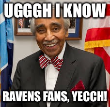 Loser | UGGGH I KNOW RAVENS FANS, YECCH! | image tagged in loser | made w/ Imgflip meme maker