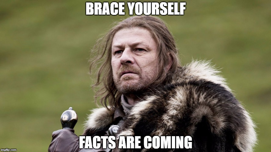 BRACE YOURSELF; FACTS ARE COMING | image tagged in ned | made w/ Imgflip meme maker