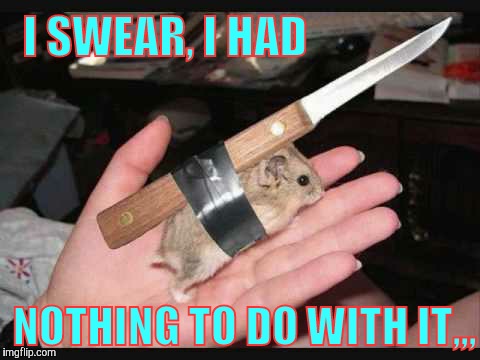 Lock and Load Hamster | I SWEAR, I HAD NOTHING TO DO WITH IT,,, | image tagged in lock and load hamster | made w/ Imgflip meme maker