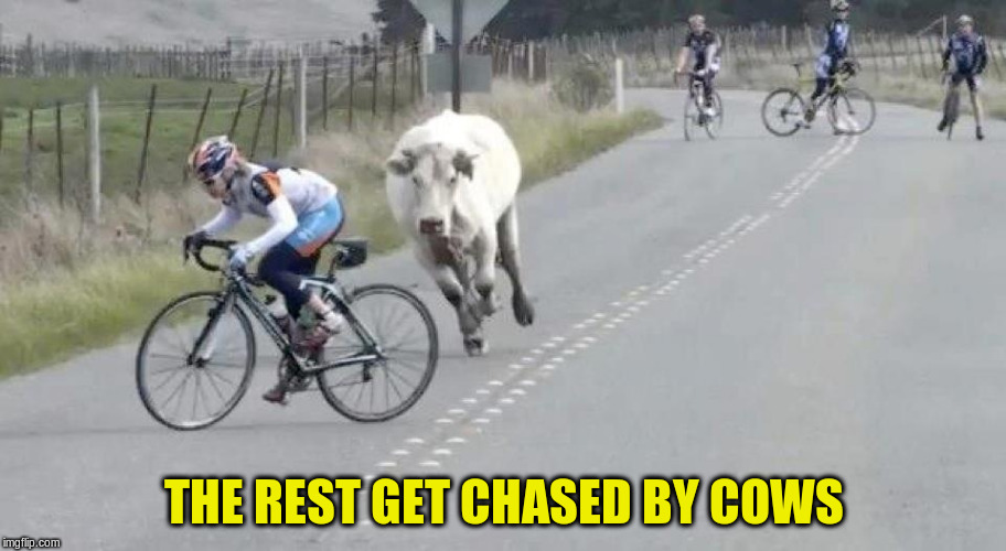 THE REST GET CHASED BY COWS | made w/ Imgflip meme maker