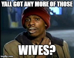 Y'all Got Any More Of That Meme | YALL GOT ANY MORE OF THOSE WIVES? | image tagged in memes,yall got any more of | made w/ Imgflip meme maker