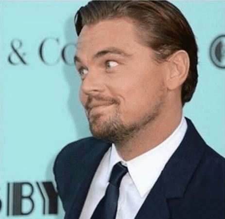 High Quality Dicaprio look Blank Meme Template