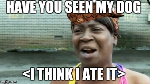 Ain't Nobody Got Time For That Meme | HAVE YOU SEEN MY DOG; <I THINK I ATE IT> | image tagged in memes,aint nobody got time for that,scumbag | made w/ Imgflip meme maker