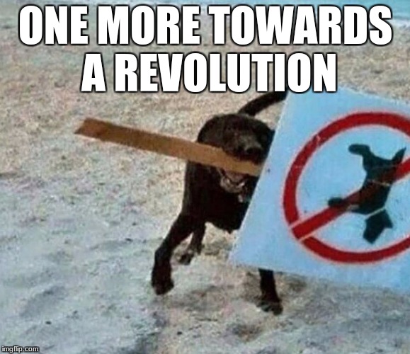 Revolution Dog | ONE MORE TOWARDS A REVOLUTION | image tagged in revolution dog | made w/ Imgflip meme maker