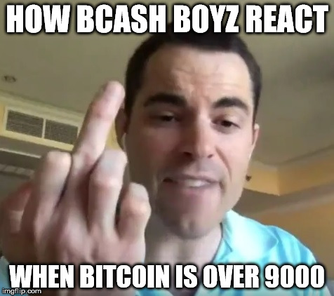 HOW BCASH BOYZ REACT; WHEN BITCOIN IS OVER 9000 | made w/ Imgflip meme maker