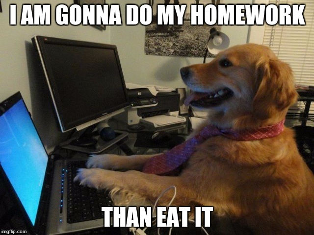 Computer Dog | I AM GONNA DO MY HOMEWORK; THAN EAT IT | image tagged in computer dog | made w/ Imgflip meme maker