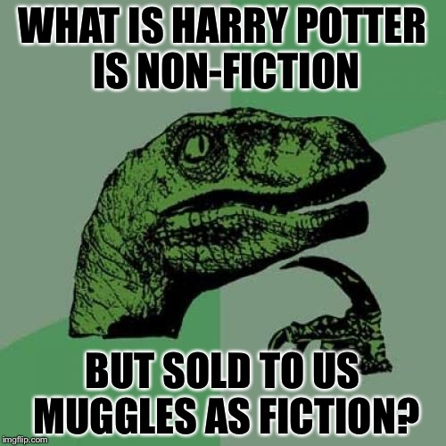 Oh my gawd | WHAT IS HARRY POTTER IS NON-FICTION; BUT SOLD TO US MUGGLES AS FICTION? | image tagged in memes,philosoraptor | made w/ Imgflip meme maker