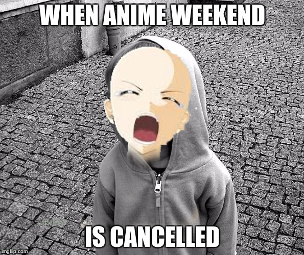 True, so very True | WHEN ANIME WEEKEND; IS CANCELLED | image tagged in anime meme,crying | made w/ Imgflip meme maker