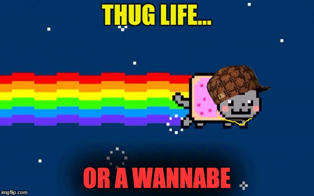 Nyan Cat | THUG LIFE... OR A WANNABE | image tagged in nyan cat,scumbag | made w/ Imgflip meme maker