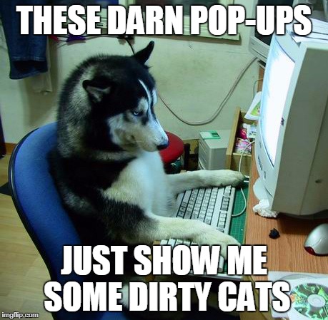 I Have No Idea What I Am Doing Meme | THESE DARN POP-UPS; JUST SHOW ME SOME DIRTY CATS | image tagged in memes,i have no idea what i am doing | made w/ Imgflip meme maker