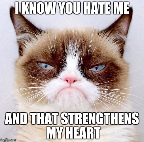 #HatedAndLovingIt | I KNOW YOU HATE ME; AND THAT STRENGTHENS MY HEART | image tagged in grumpy cat does not believe | made w/ Imgflip meme maker