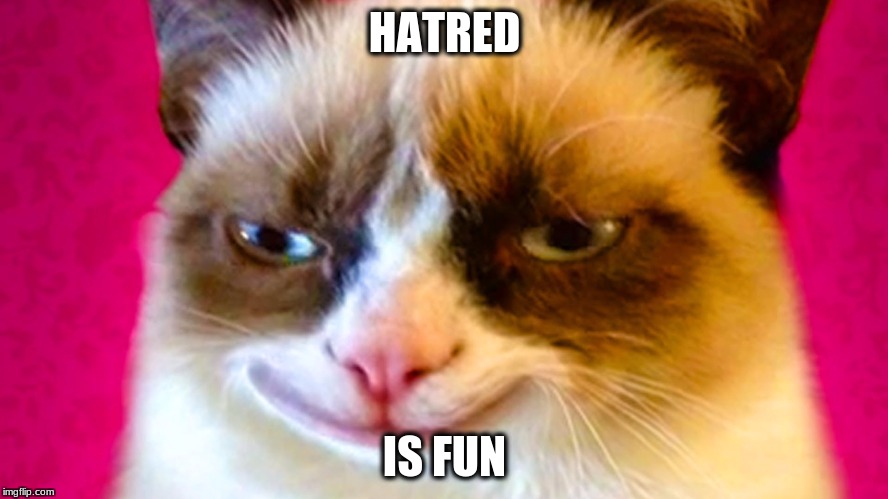 #LovingHate | HATRED; IS FUN | image tagged in grumpy | made w/ Imgflip meme maker