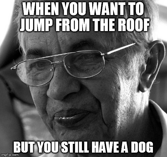 WHEN YOU WANT TO JUMP FROM THE ROOF; BUT YOU STILL HAVE A DOG | image tagged in suicide,dog,notfunny | made w/ Imgflip meme maker