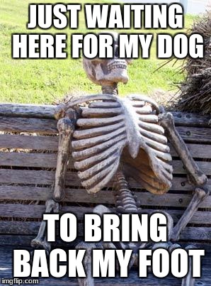 Waiting Skeleton | JUST WAITING HERE FOR MY DOG; TO BRING BACK MY FOOT | image tagged in memes,waiting skeleton | made w/ Imgflip meme maker