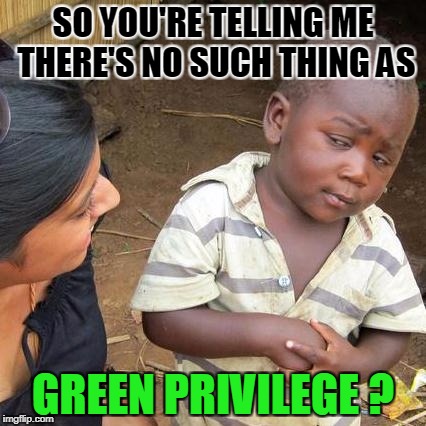 Third World Skeptical Kid Meme | SO YOU'RE TELLING ME THERE'S NO SUCH THING AS GREEN PRIVILEGE ? | image tagged in memes,third world skeptical kid | made w/ Imgflip meme maker