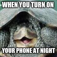 Derpy Turtle | WHEN YOU TURN ON; YOUR PHONE AT NIGHT | image tagged in derpy turtle | made w/ Imgflip meme maker