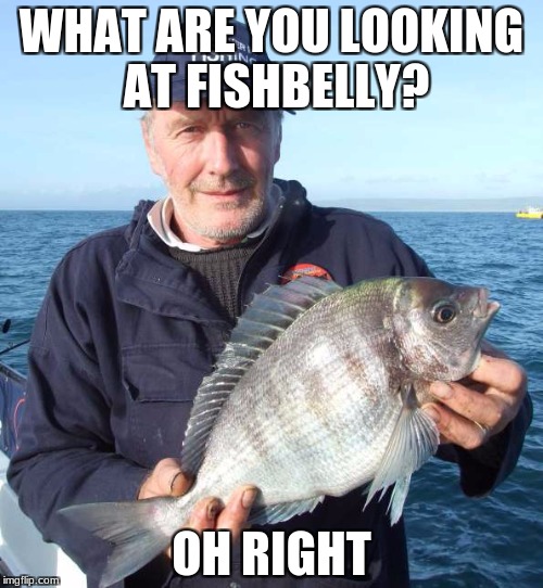 that moment you realize it all is a lie. | WHAT ARE YOU LOOKING AT FISHBELLY? OH RIGHT | image tagged in fish,memes | made w/ Imgflip meme maker