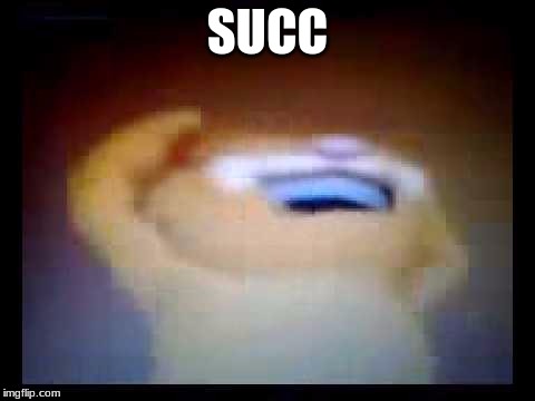 SUCC | image tagged in memes | made w/ Imgflip meme maker