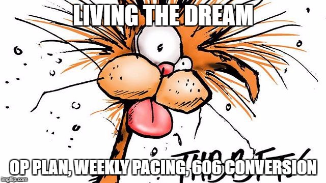 Bill the Cat THBBFT | LIVING THE DREAM; OP PLAN, WEEKLY PACING, 606 CONVERSION | image tagged in bill the cat thbbft | made w/ Imgflip meme maker