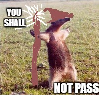 Ven pa aca | YOU SHALL; NOT PASS | image tagged in ven pa aca | made w/ Imgflip meme maker