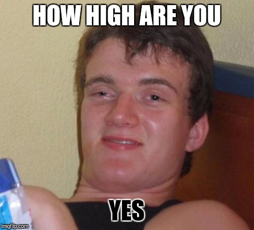 10 Guy | HOW HIGH ARE YOU; YES | image tagged in memes,10 guy | made w/ Imgflip meme maker