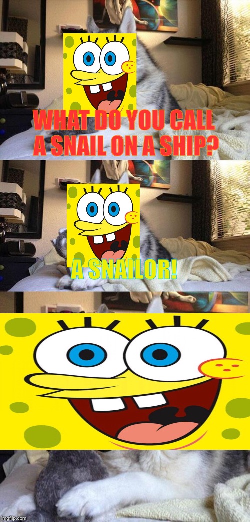 Bad Pun Dog | WHAT DO YOU CALL A SNAIL ON A SHIP? A SNAILOR! | image tagged in memes,bad pun dog | made w/ Imgflip meme maker