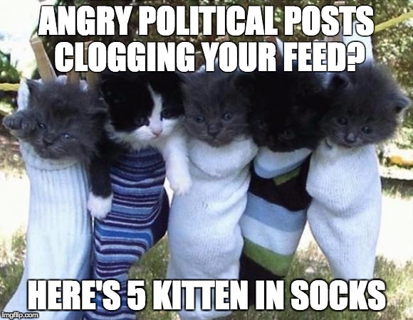 hang-in-there-kittens | ANGRY POLITICAL POSTS CLOGGING YOUR FEED? HERE'S 5 KITTEN IN SOCKS | image tagged in hang-in-there-kittens | made w/ Imgflip meme maker