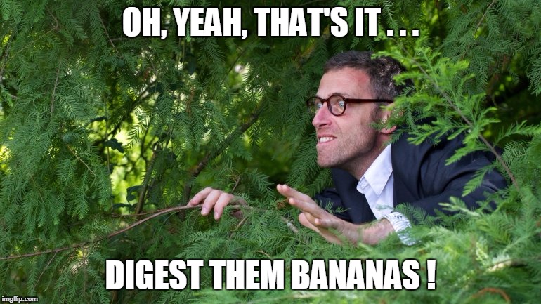 OH, YEAH, THAT'S IT . . . DIGEST THEM BANANAS ! | made w/ Imgflip meme maker