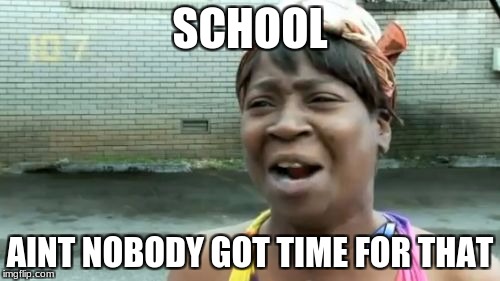 Ain't Nobody Got Time For That | SCHOOL; AINT NOBODY GOT TIME FOR THAT | image tagged in memes,aint nobody got time for that | made w/ Imgflip meme maker