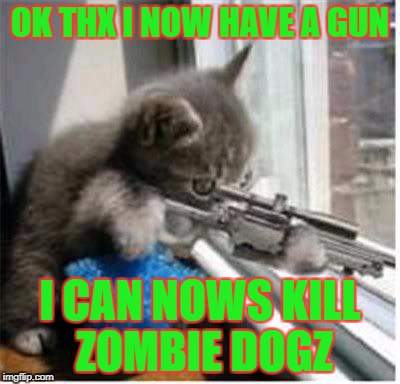 cats with guns | OK THX I NOW HAVE A GUN; I CAN NOWS KILL ZOMBIE DOGZ | image tagged in cats with guns | made w/ Imgflip meme maker
