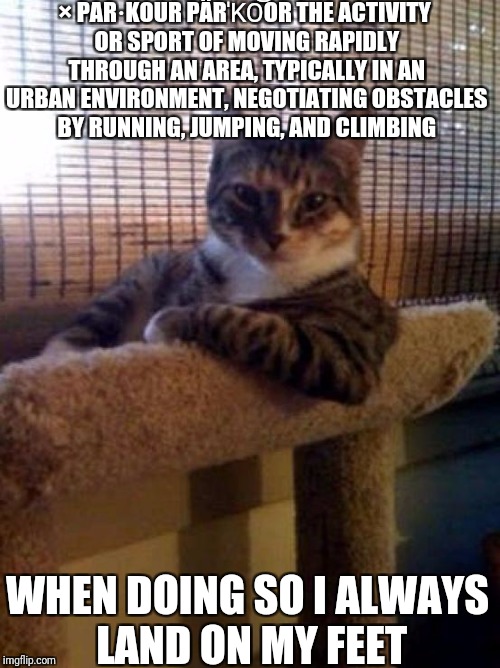 The Most Interesting Cat In The World Meme | ×
PAR·KOUR
PÄRˈKO͝OR
THE ACTIVITY OR SPORT OF MOVING RAPIDLY THROUGH AN AREA, TYPICALLY IN AN URBAN ENVIRONMENT, NEGOTIATING OBSTACLES BY RUNNING, JUMPING, AND CLIMBING; WHEN DOING SO I ALWAYS LAND ON MY FEET | image tagged in memes,the most interesting cat in the world | made w/ Imgflip meme maker