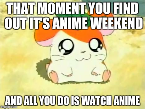 Hamtaro Meme | THAT MOMENT YOU FIND OUT IT'S ANIME WEEKEND; AND ALL YOU DO IS WATCH ANIME | image tagged in memes,hamtaro | made w/ Imgflip meme maker