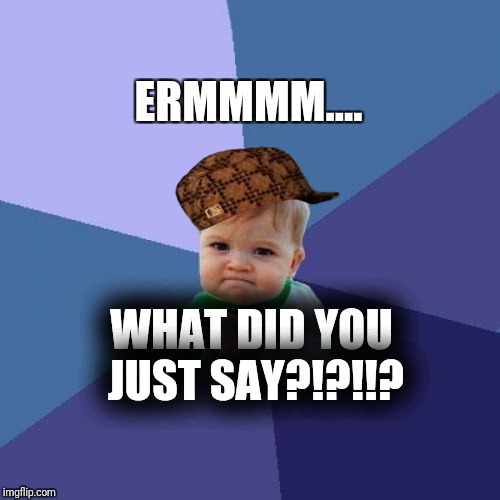 Success Kid | ERMMMM.... WHAT DID YOU JUST SAY?!?!!? | image tagged in memes,success kid,scumbag | made w/ Imgflip meme maker