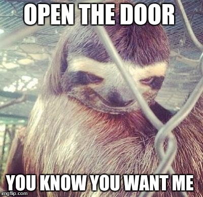 Rape Sloth | OPEN THE DOOR; YOU KNOW YOU WANT ME | image tagged in rape sloth | made w/ Imgflip meme maker